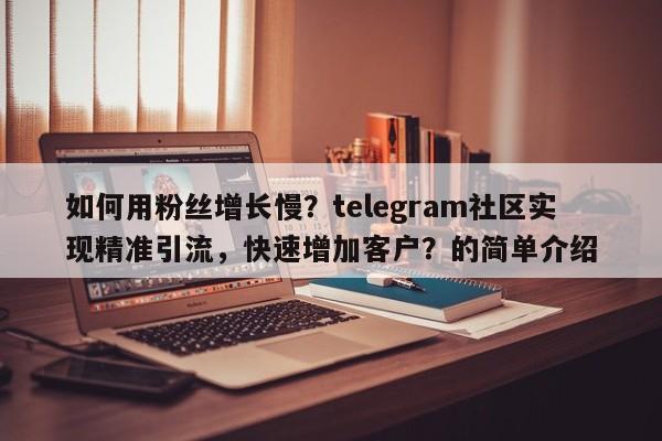 如何用粉丝增长慢?telegram社区实现精准引流,快速增加客户?的简单介绍