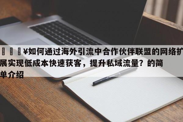 🔥如何通过海外引流中合作伙伴联盟的网络扩展实现低成本快速获客,提升私域流量?的简单介绍