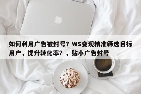 如何利用广告被封号？WS变现精准筛选目标用户，提升转化率？，贴小广告封号