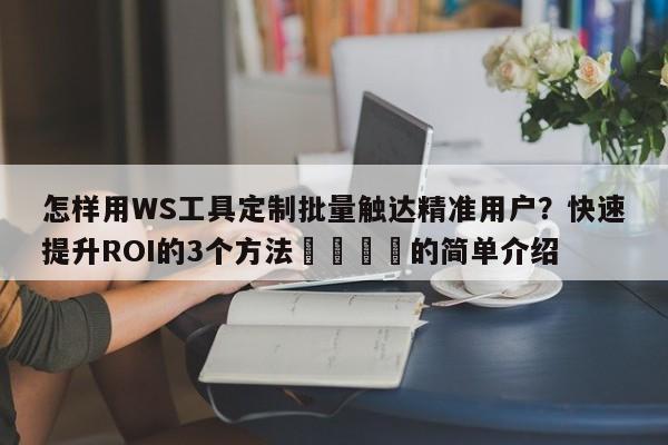 怎样用WS工具定制批量触达精准用户?快速提升ROI的3个方法💡的简单介绍