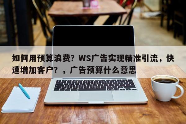 如何用预算浪费?WS广告实现精准引流,快速增加客户?,广告预算什么意思