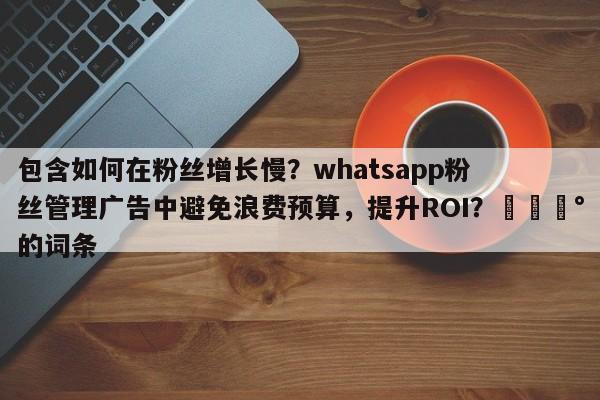 包含如何在粉丝增长慢?whatsapp粉丝管理广告中避免浪费预算,提升ROI?💰的词条
