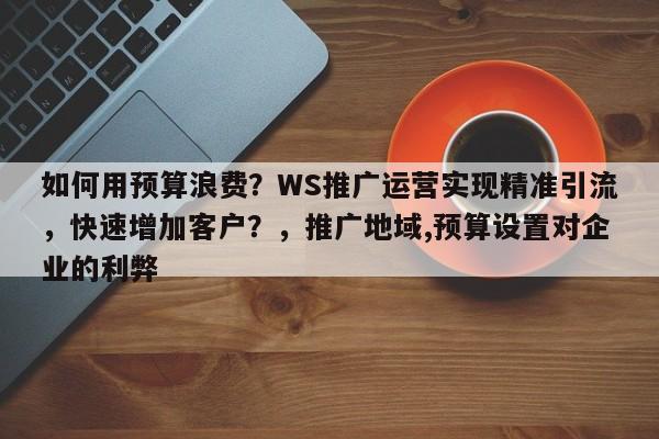如何用预算浪费?WS推广运营实现精准引流,快速增加客户?,推广地域,预算设置对企业的利弊