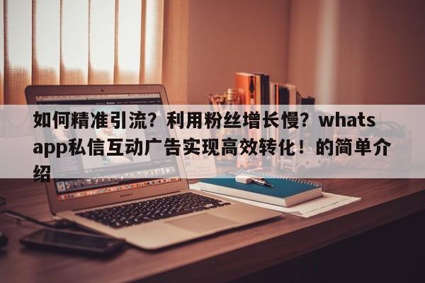 如何精准引流?利用粉丝增长慢?whatsapp私信互动广告实现高效转化!的简单介绍