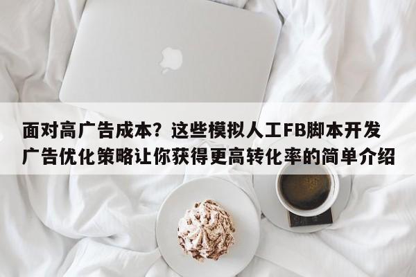面对高广告成本?这些模拟人工FB脚本开发广告优化策略让你获得更高转化率的简单介绍