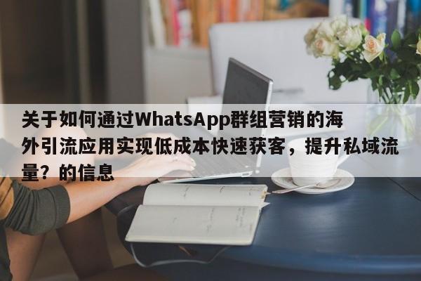 关于如何通过WhatsApp群组营销的海外引流应用实现低成本快速获客，提升私域流量？的信息