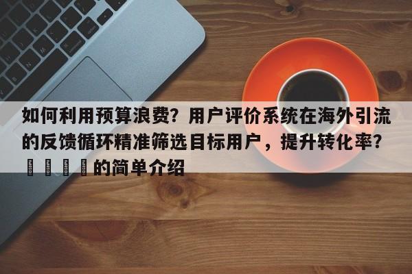 如何利用预算浪费?用户评价系统在海外引流的反馈循环精准筛选目标用户,提升转化率?🚀的简单介绍