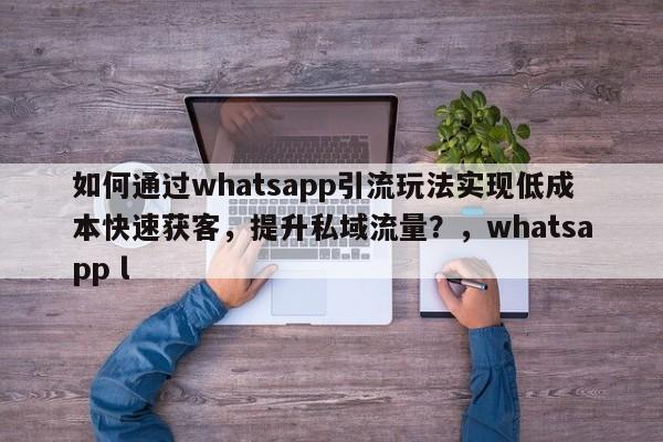 如何通过whatsapp引流玩法实现低成本快速获客,提升私域流量?,whatsapp l