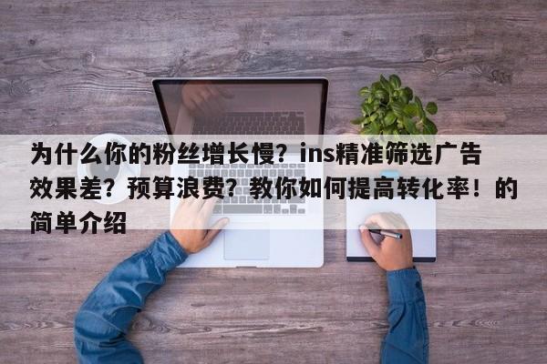 为什么你的粉丝增长慢？ins精准筛选广告效果差？预算浪费？教你如何提高转化率！的简单介绍
