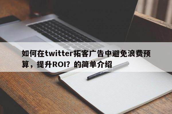 如何在twitter拓客广告中避免浪费预算，提升ROI？的简单介绍