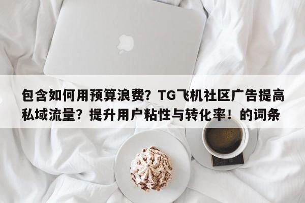 包含如何用预算浪费?TG飞机社区广告提高私域流量?提升用户粘性与转化率!的词条
