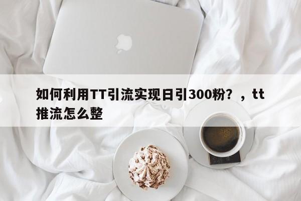 如何利用TT引流实现日引300粉？，tt推流怎么整