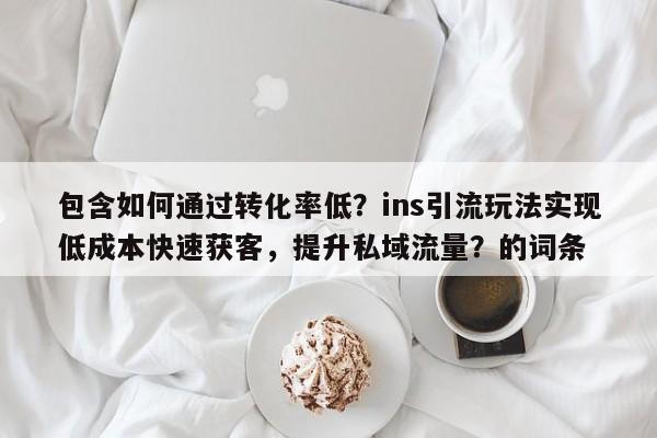 包含如何通过转化率低？ins引流玩法实现低成本快速获客，提升私域流量？的词条