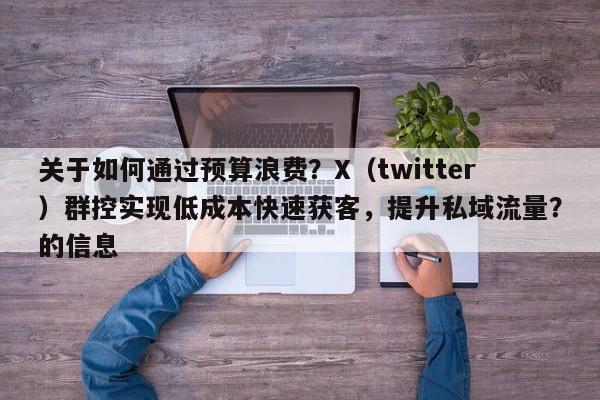 关于如何通过预算浪费？X（twitter）群控实现低成本快速获客，提升私域流量？的信息