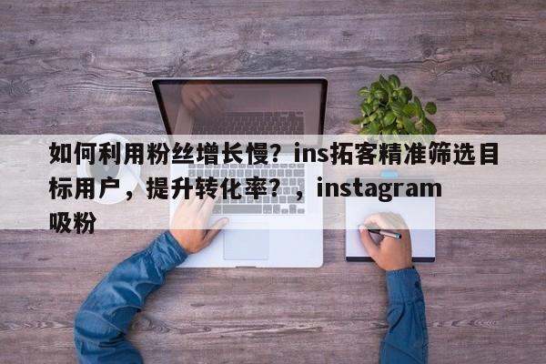 如何利用粉丝增长慢?ins拓客精准筛选目标用户,提升转化率?,instagram吸粉