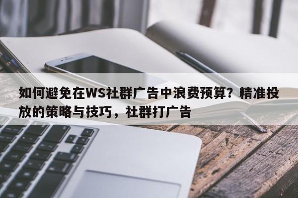 如何避免在WS社群广告中浪费预算?精准投放的策略与技巧,社群打广告