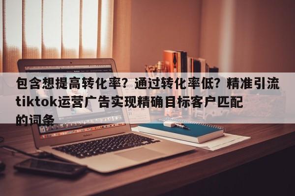 包含想提高转化率?通过转化率低?精准引流tiktok运营广告实现精确目标客户匹配的词条