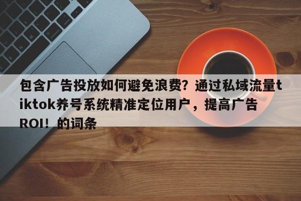 包含广告投放如何避免浪费？通过私域流量tiktok养号系统精准定位用户，提高广告ROI！的词条