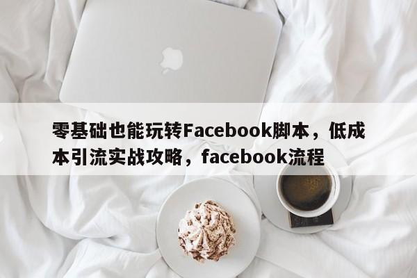 零基础也能玩转Facebook脚本,低成本引流实战攻略,facebook流程