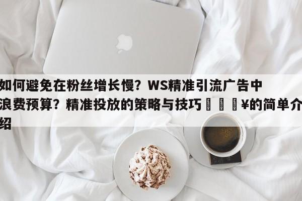 如何避免在粉丝增长慢？WS精准引流广告中浪费预算？精准投放的策略与技巧💥的简单介绍