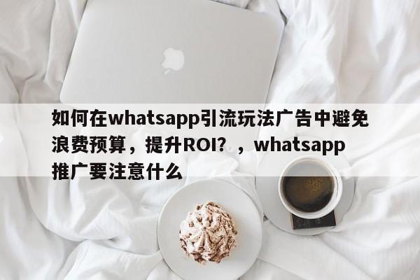 如何在whatsapp引流玩法广告中避免浪费预算，提升ROI？，whatsapp推广要注意什么