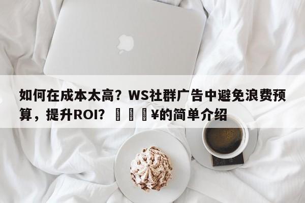 如何在成本太高?WS社群广告中避免浪费预算,提升ROI?🔥的简单介绍