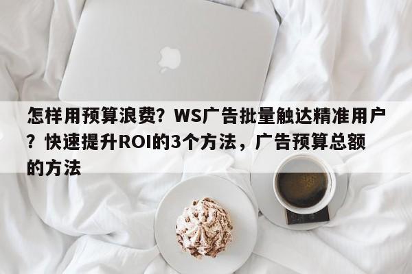 怎样用预算浪费？WS广告批量触达精准用户？快速提升ROI的3个方法，广告预算总额的方法