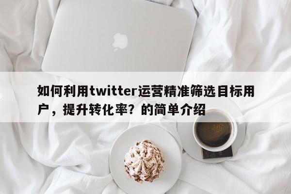 如何利用twitter运营精准筛选目标用户，提升转化率？的简单介绍