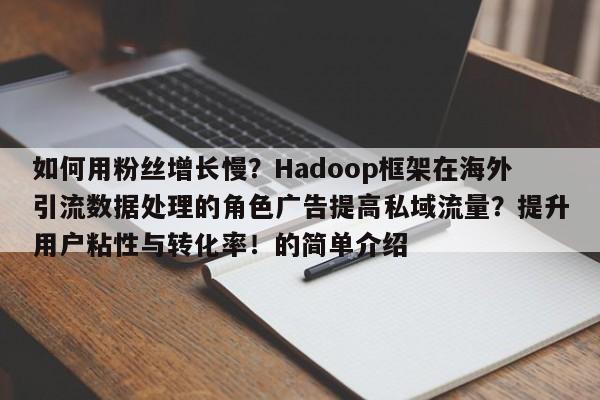 如何用粉丝增长慢？Hadoop框架在海外引流数据处理的角色广告提高私域流量？提升用户粘性与转化率！的简单介绍