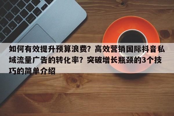 如何有效提升预算浪费?高效营销国际抖音私域流量广告的转化率?突破增长瓶颈的3个技巧的简单介绍