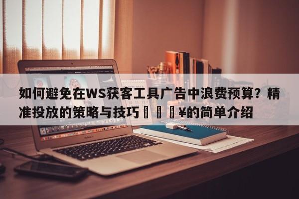 如何避免在WS获客工具广告中浪费预算?精准投放的策略与技巧💥的简单介绍