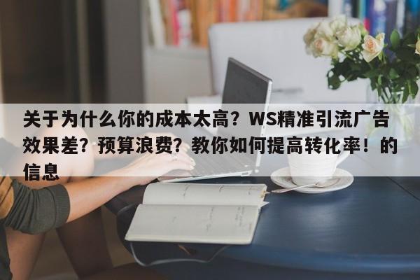 关于为什么你的成本太高？WS精准引流广告效果差？预算浪费？教你如何提高转化率！的信息