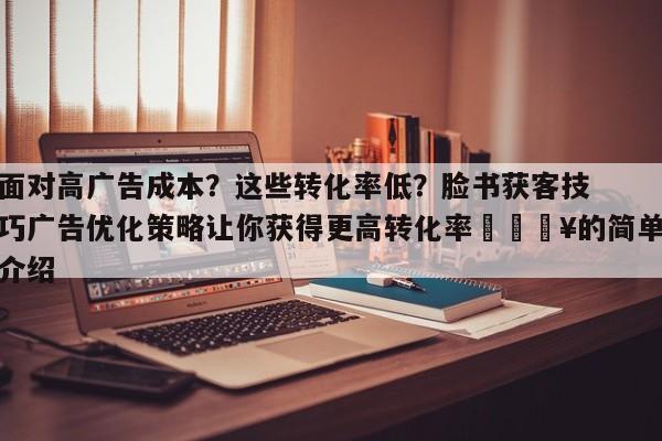 面对高广告成本?这些转化率低?脸书获客技巧广告优化策略让你获得更高转化率🔥的简单介绍
