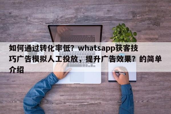 如何通过转化率低？whatsapp获客技巧广告模拟人工投放，提升广告效果？的简单介绍