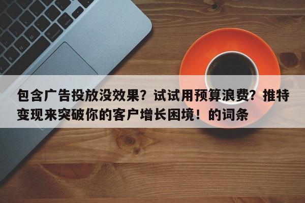 包含广告投放没效果?试试用预算浪费?推特变现来突破你的客户增长困境!的词条