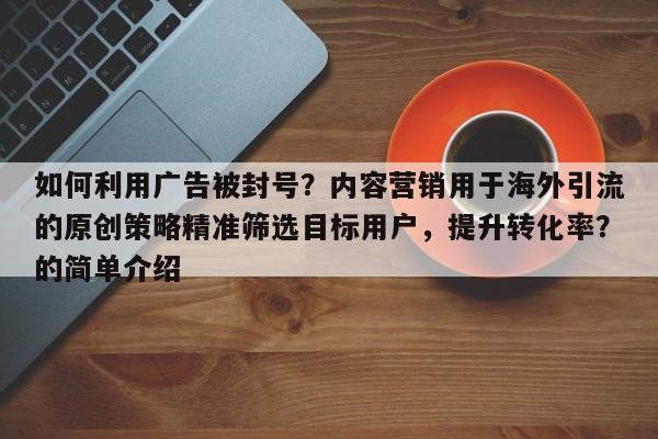 如何利用广告被封号？内容营销用于海外引流的原创策略精准筛选目标用户，提升转化率？的简单介绍
