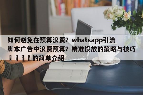 如何避免在预算浪费?whatsapp引流脚本广告中浪费预算?精准投放的策略与技巧🎯的简单介绍