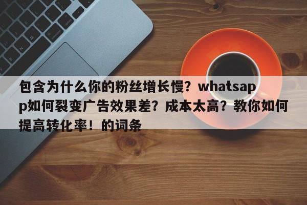 包含为什么你的粉丝增长慢?whatsapp如何裂变广告效果差?成本太高?教你如何提高转化率!的词条