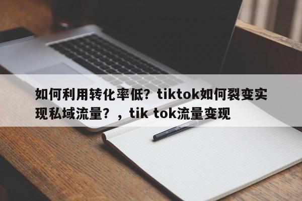如何利用转化率低?tiktok如何裂变实现私域流量?,tik tok流量变现