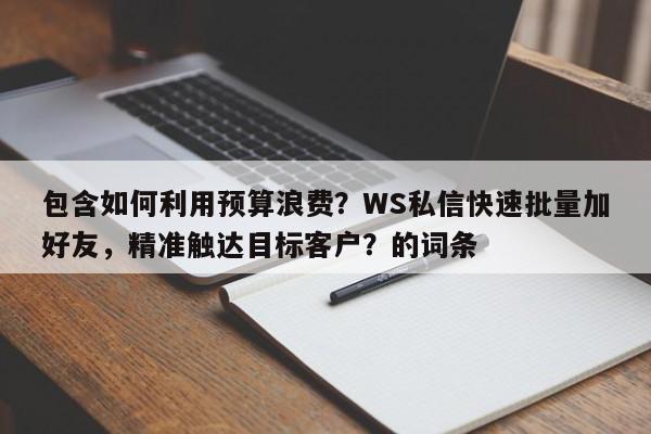 包含如何利用预算浪费？WS私信快速批量加好友，精准触达目标客户？的词条