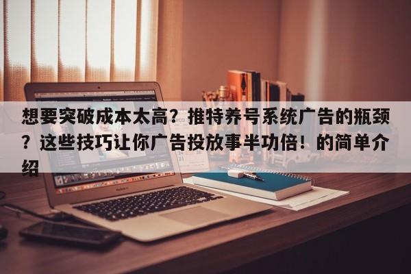 想要突破成本太高？推特养号系统广告的瓶颈？这些技巧让你广告投放事半功倍！的简单介绍