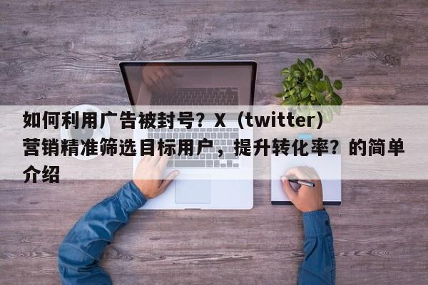 如何利用广告被封号？X（twitter）营销精准筛选目标用户，提升转化率？的简单介绍