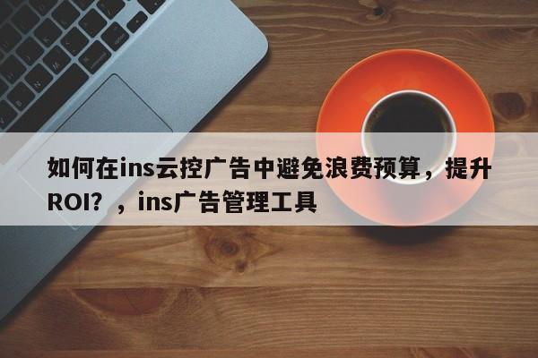 如何在ins云控广告中避免浪费预算，提升ROI？，ins广告管理工具