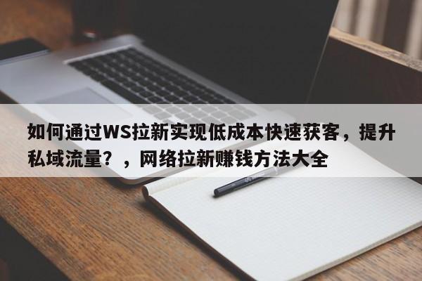 如何通过WS拉新实现低成本快速获客,提升私域流量?,网络拉新赚钱方法大全