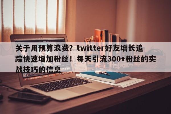 关于用预算浪费?twitter好友增长追踪快速增加粉丝!每天引流300+粉丝的实战技巧的信息