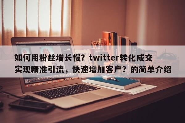 如何用粉丝增长慢?twitter转化成交实现精准引流,快速增加客户?的简单介绍