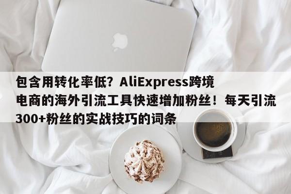 包含用转化率低？AliExpress跨境电商的海外引流工具快速增加粉丝！每天引流300+粉丝的实战技巧的词条