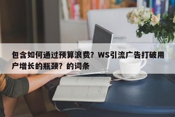 包含如何通过预算浪费?WS引流广告打破用户增长的瓶颈?的词条