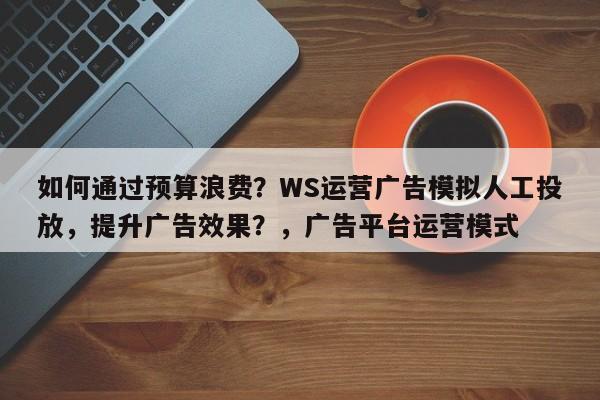 如何通过预算浪费？WS运营广告模拟人工投放，提升广告效果？，广告平台运营模式