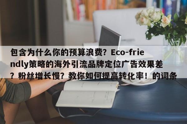 包含为什么你的预算浪费?Eco-friendly策略的海外引流品牌定位广告效果差?粉丝增长慢?教你如何提高转化率!的词条